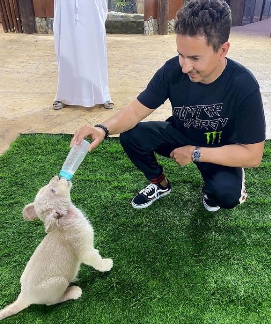 ホルヘ・ロレンソはパドックでの仕事を探しているので、動物園の飼育員にはならないだろう...