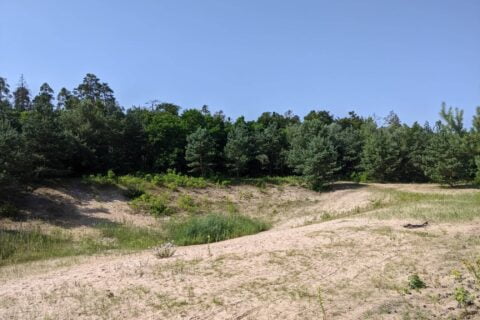 L'ancien circuit d’Hockenheim en 2021 ! partie 1