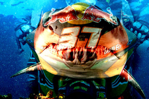 Moto2 Allemagne Course : Pedro Acosta, le requin de Mazarrón, navigue en solitaire