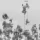 Oldies MotoGP Allemagne : Une petite histoire du Sachsenring...