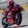 Pecco Bagnaia