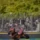 Moto2