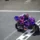 Jack Miller MotoGP