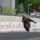 Brad Binder