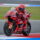 Marc Marquez Pays-Bas
