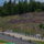 MotoGP, Brno