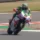 WSBK Superbike Donington FP1 : Les souvenirs de Bimota, Alex Lowes s'en charge !