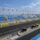 MotoGP