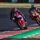 8H Suzuka