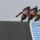 Moto3
