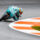 Moto3 Valence FP2