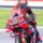 Bulega