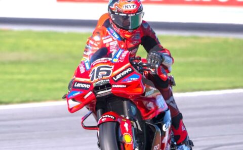 Bulega