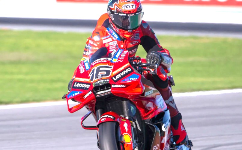 Bulega