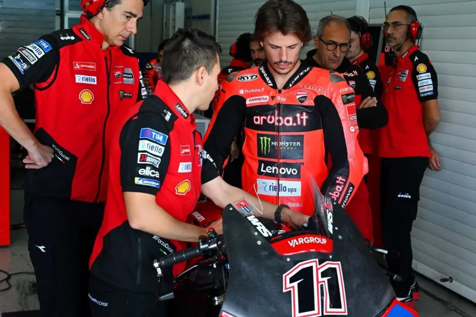 Bulega