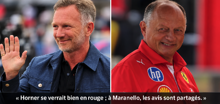 Horner Ferrari