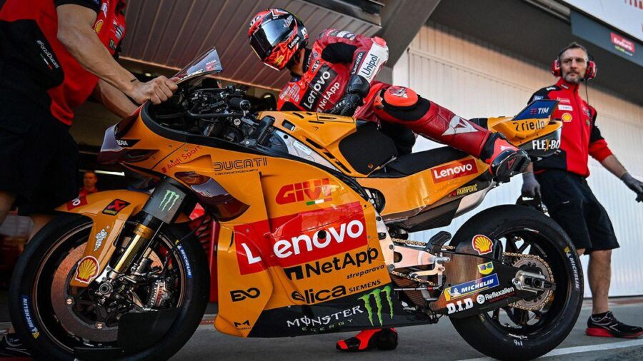 Bulega