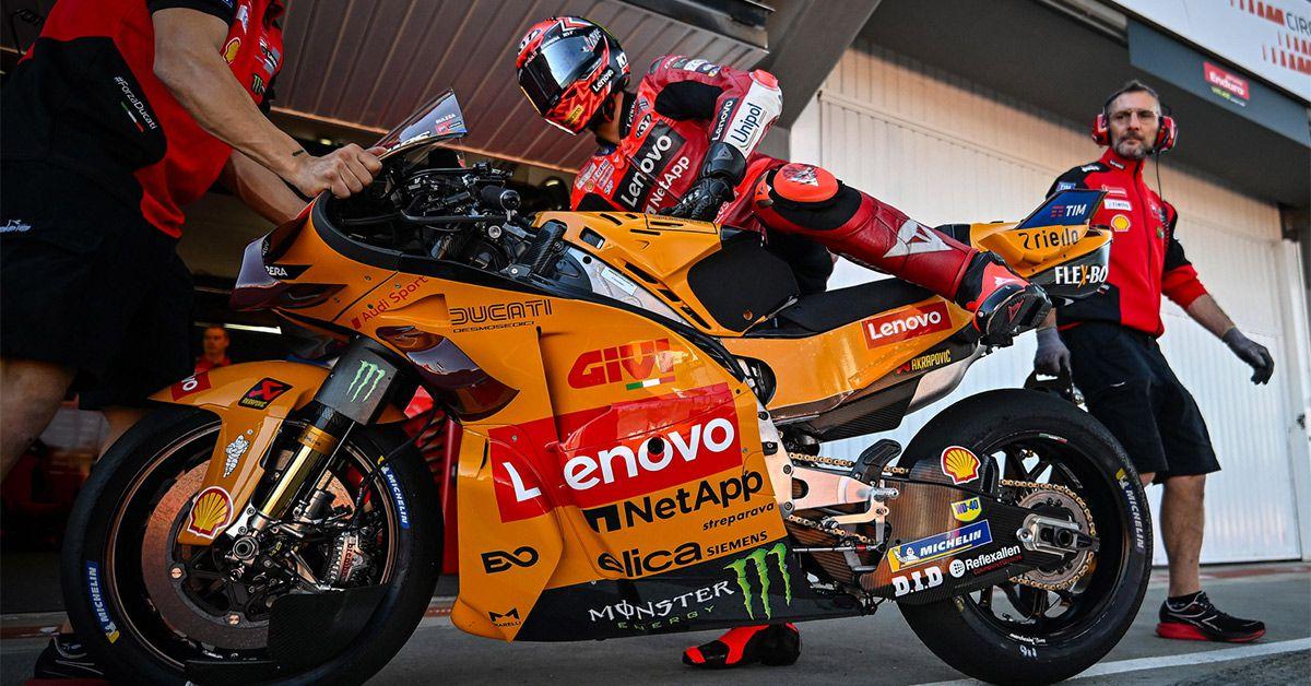 Bulega