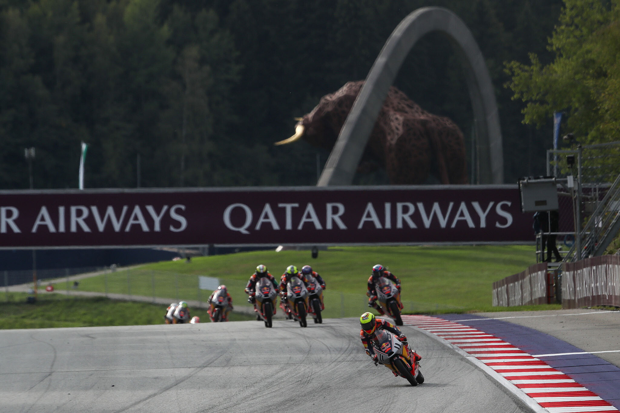 Rookies Cup