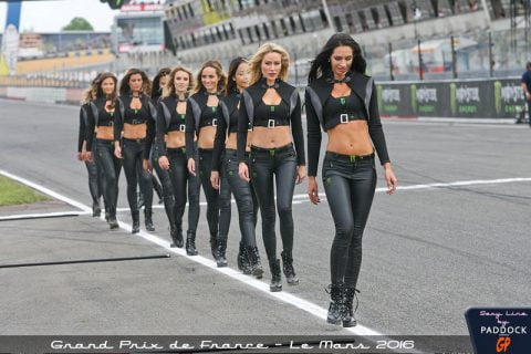 Sexy Line : Le Mans 2016 !