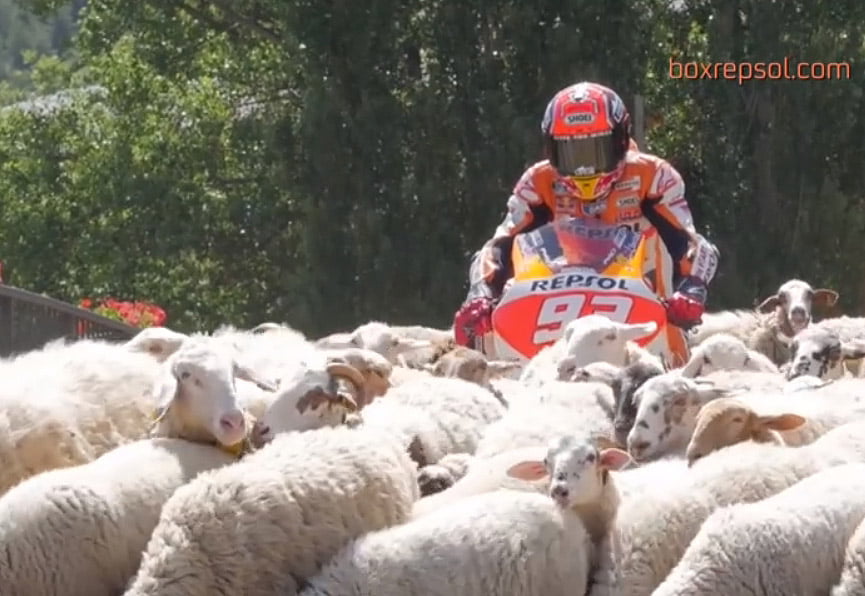 [Vidéo] Marc Marquez : « Dessine-moi un mouton »